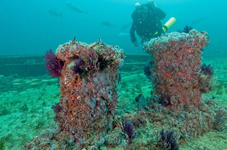 Arranca el Proyecto RestReef para la Restauración de Arrecifes Artificiales en Espacios Natura 2000