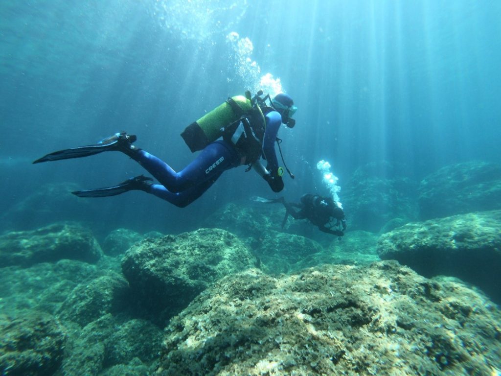 Abiertas las inscripciones para los cursos RestReef: formación en restauración marina basada en arrecifes artificiales